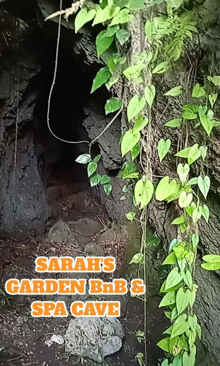 مبيت وإفطار Clarin  Sarah'S Garden Bnb & Spa المظهر الخارجي الصورة